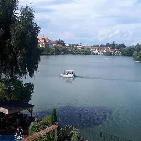 Apartmany Setkova Vila Jindřichŭv Hradec Exteriör bild