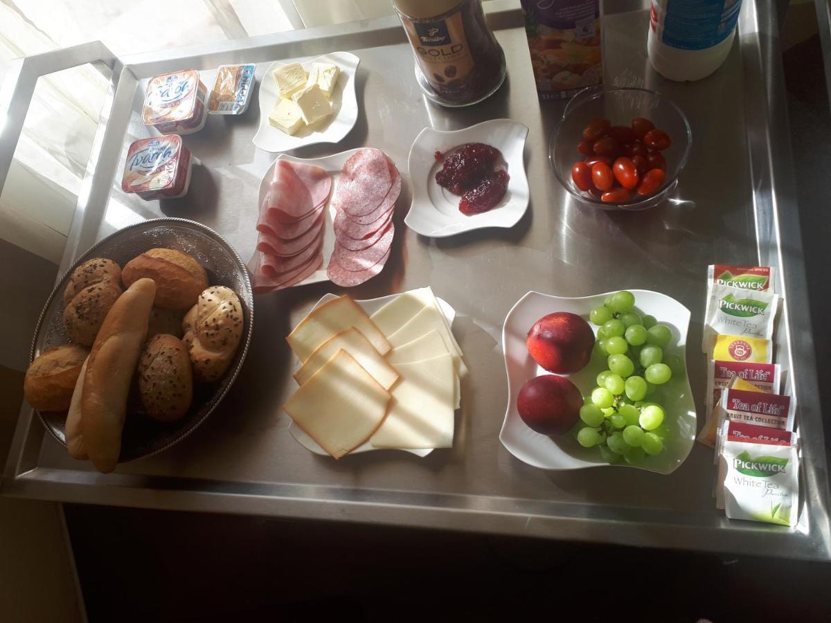 Apartmany Setkova Vila Jindřichŭv Hradec Exteriör bild